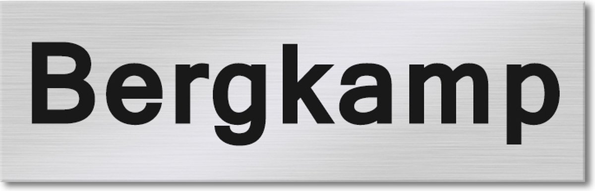 Kirinify - RVS Naambordje voordeur 8 x 2.5 cm met lasergravering - Zelf ontwerpen