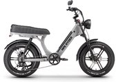 Ape Ryder MD10 Premium Elektrische Fatbike 250W / 48V / 14.5AH / 20Inch Antrasit Grijs