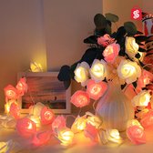 Guirlande lumineuse étoiles à LED | Sapin de Noël avec des lumières | Décorations de Noël | L'éclairage de Noël | Blanc chaud | 6m 40 LED| Cordons d'alimentation | Guirlande lumineuse | décoration de Noël