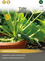 Tuin de Bruijn® zaden - Courgette Patio Star F1 - telen in grote potten - zeer smakelijke kleine courgette-vruchten