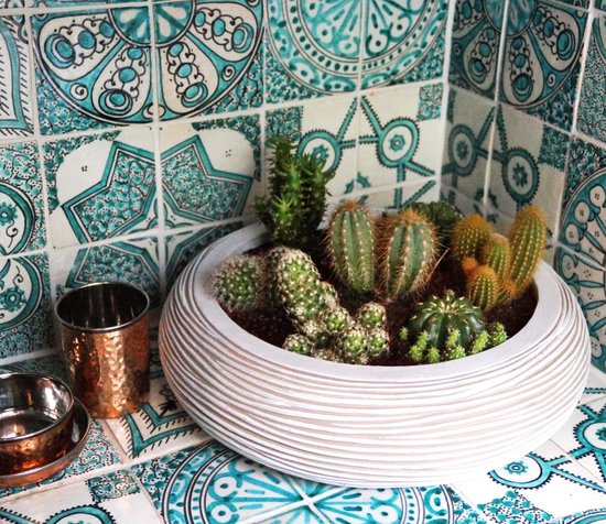 Bol Capi Nature côte ronde I ivoire