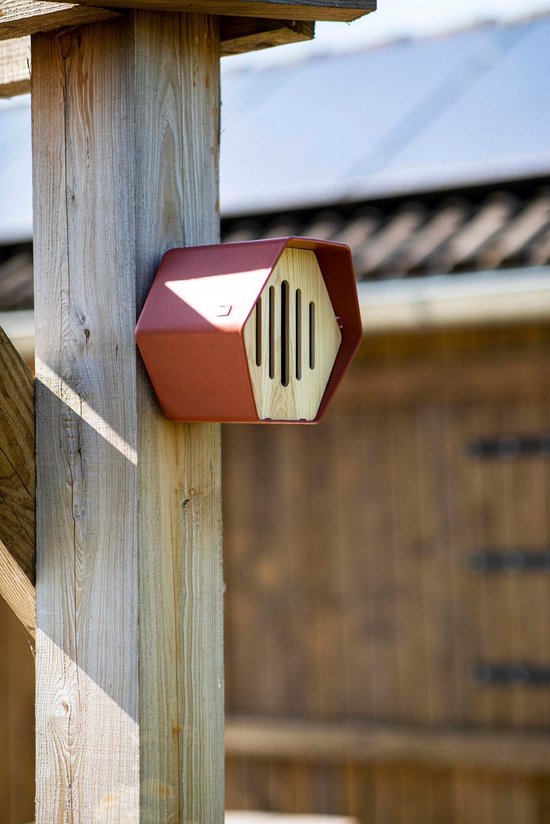Capi Europe - Vlinderhuisje Hive - 19x23x20 - Antraciet - Capi ...