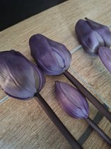 Countryfield- tulpen-kunst-paars