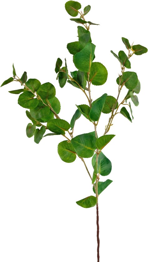 Greenmoods Kunstplanten - Kunstplant - Kunsttak - Eucalyptus Classic - Zijde - Groen - 70 cm