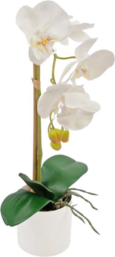 Greenmoods Kunstplanten - Kunstplant - Orchidee - Wit - Zijde - 42 cm - In witte pot