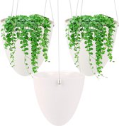 3 stuks hangplantenpotten, bloemenhangers om op te hangen, zelfbewaterende hangende plant, plantenhouder, plantenbak, moderne decoratieve plantenhanger voor binnen en buiten, 3 stuks