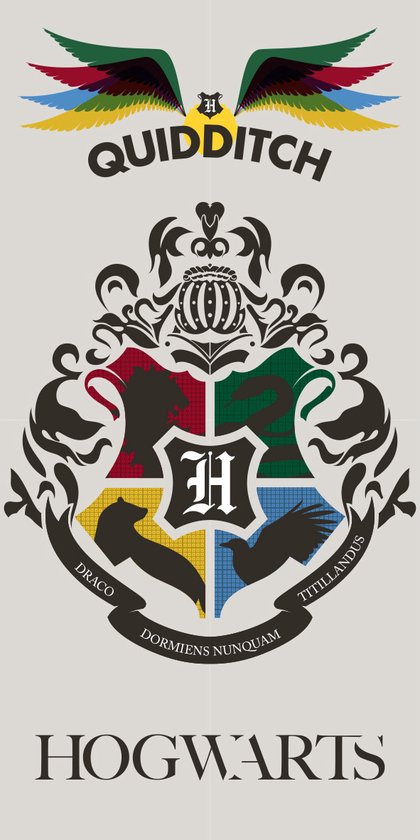 Harry Potter Strandlaken Quidditch - 70 x 140 cm - Multi