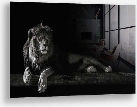 Wallfield™ - Horizontal Lion | Glasschilderij | Gehard glas | 60 x 90 cm | Magnetisch Ophangsysteem