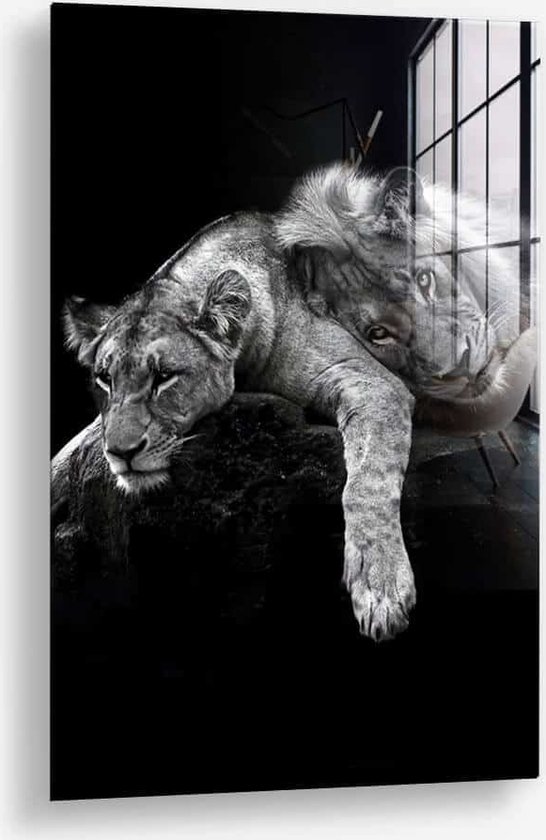 Wallfield™ - Lion Love | Glasschilderij | Gehard glas | 60 x 90 cm | Magnetisch Ophangsysteem