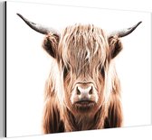 Décoration murale Métal - Peinture Aluminium Industrielle - Animaux - Highlander Écossais - Vache - 90x60 cm - Dibond - Photo sur aluminium - Décoration murale industrielle - Pour le salon/chambre