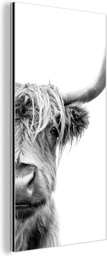 Décoration murale Métal - Aluminium Peinture Industrielle - Highlander écossais - Animaux - Zwart - Wit - 40x80 cm - Dibond - Photo sur aluminium - Décoration murale industrielle - Pour le salon / chambre