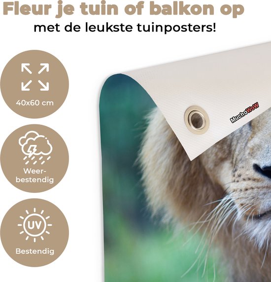 Poster Jardin Lion et Lionne 40x60 cm - petit - Toile de jardin / Toile d'extérieur / Peintures d'extérieur (décoration de jardin)