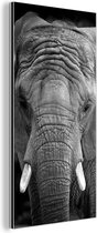 Wanddecoratie Metaal - Aluminium Schilderij Industrieel - Portret van een olifant in zwart-wit - 80x160 cm - Dibond - Foto op aluminium - Industriële muurdecoratie - Voor de woonkamer/slaapkamer