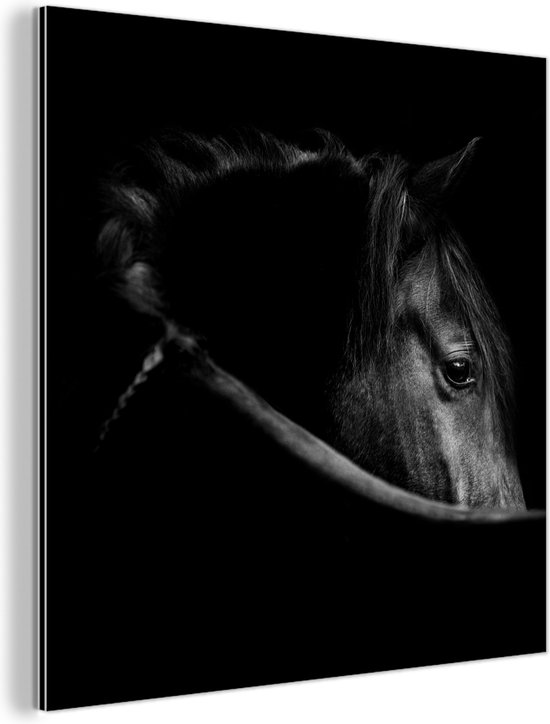 Wanddecoratie Metaal - Aluminium Schilderij Industrieel - Paarden - Portret - Zwart - Dieren - 50x50 cm - Dibond - Foto op aluminium - Industriële muurdecoratie - Voor de woonkamer/slaapkamer