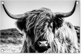 Tuindecoratie Koe - Schotse hooglander - Zwart - Wit - Dier - Natuur - Wild - 60x40 cm - Tuinposter - Tuindoek - Buitenposter