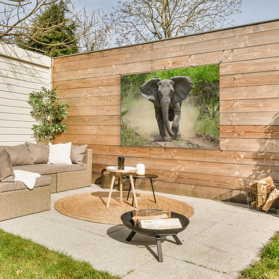 Affiche Running Elephant Garden 120x80 cm - Toile de jardin / Toile d'extérieur / Peintures d'extérieur (décoration de jardin)