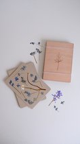 FynBosch Design DIY Bloemenpers - A5 - Herbarium - droogbloemen maken voor volwassenen - Klein & draagbaar - Pocket Flower Press - Bloemen Drogen