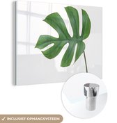 MuchoWow® Glasschilderij 120x90 cm - Schilderij acrylglas - Botanisch blad op een witte achtergrond - Foto op glas - Schilderijen