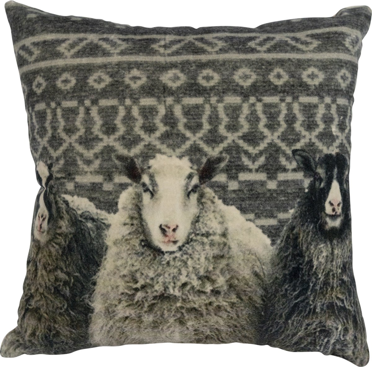 Mars & More kussen fluweel dessin met schaap 45x45cm Multi