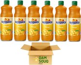 Damsouq® Multipak Sunquick Mango Siroop (6x 700ML)
