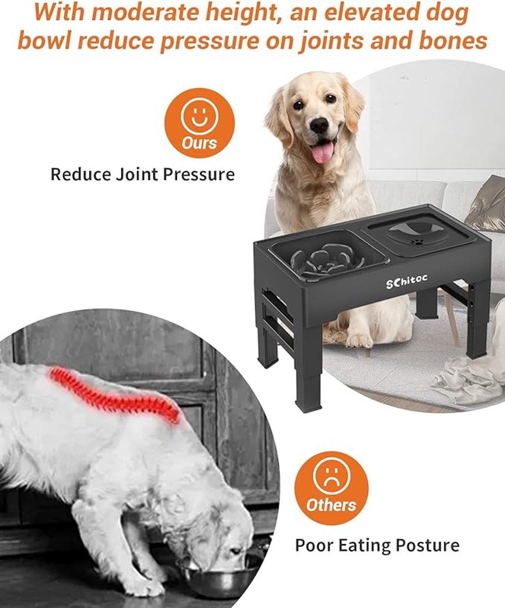 Dieren Voerstation - Comfortabel Eten voor Kleine Honden en Katten -dog feeding station