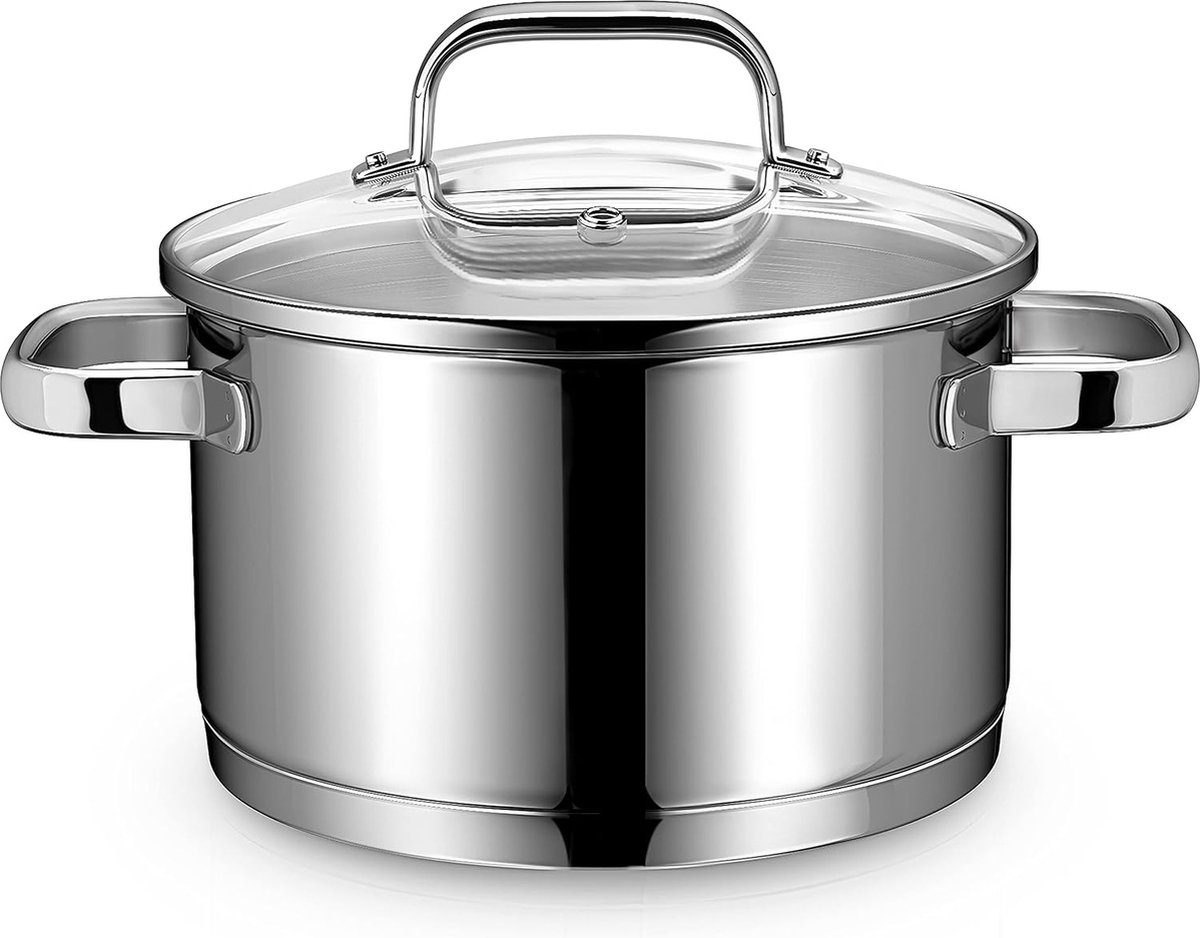 Inductie pan 20 cm met glazen deksel kookpan klein 3 5 l van 18 10 roestvrij staal handvat niet heet gesmede bodem voor alle fornuizen kookpan inductie als pastapot spaghettipot kookpot