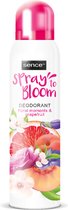 6x Sence Deodorant Floral & Grapefruit 150 ml