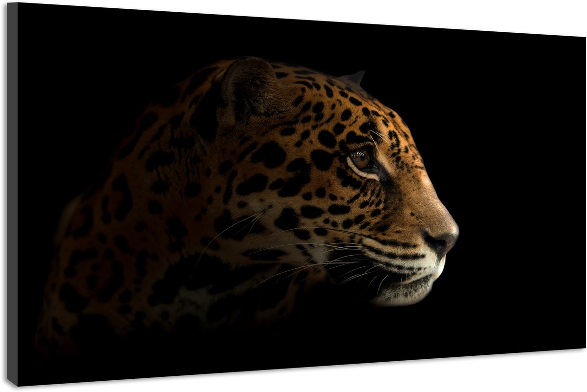 karo-art Schilderij -Luipaard in het donker III, 100x70cm, premium print Multikleur