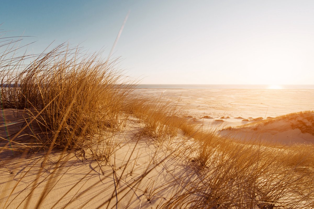 karo-art Poster - Zicht vanuit de Duinen, Prachtige Noordzee, Premium Print Multikleur