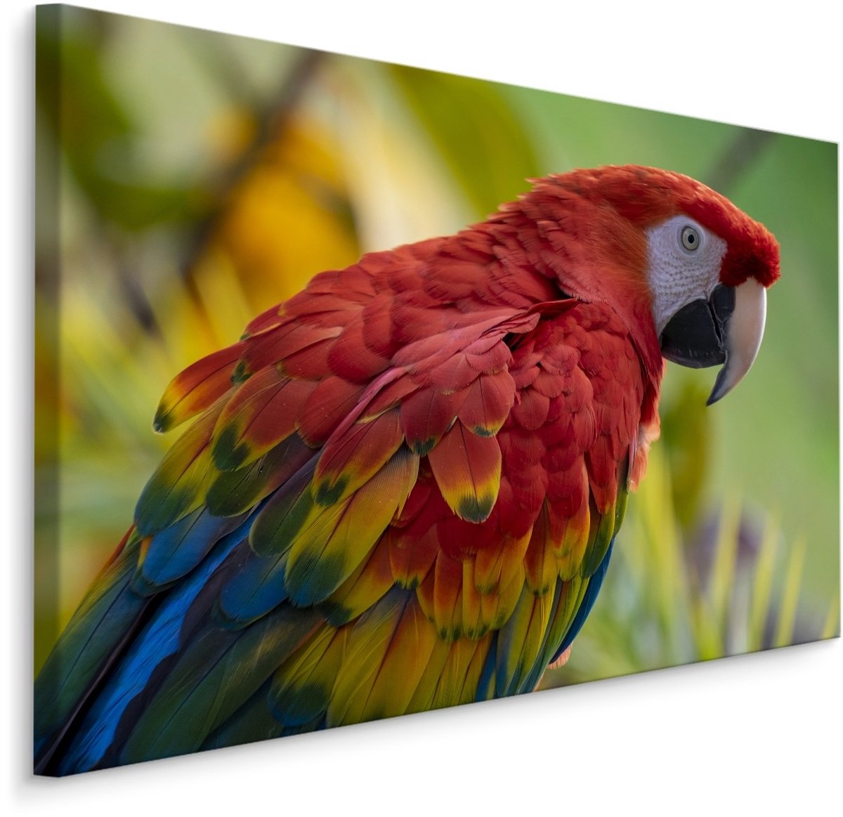 karo-art Schilderij - Kleurrijke Ara in de Natuur, Premium Print Multikleur