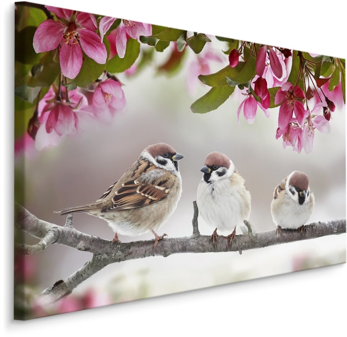 karo-art Schilderij - Mussen in de Boom, Premium Print Multikleur