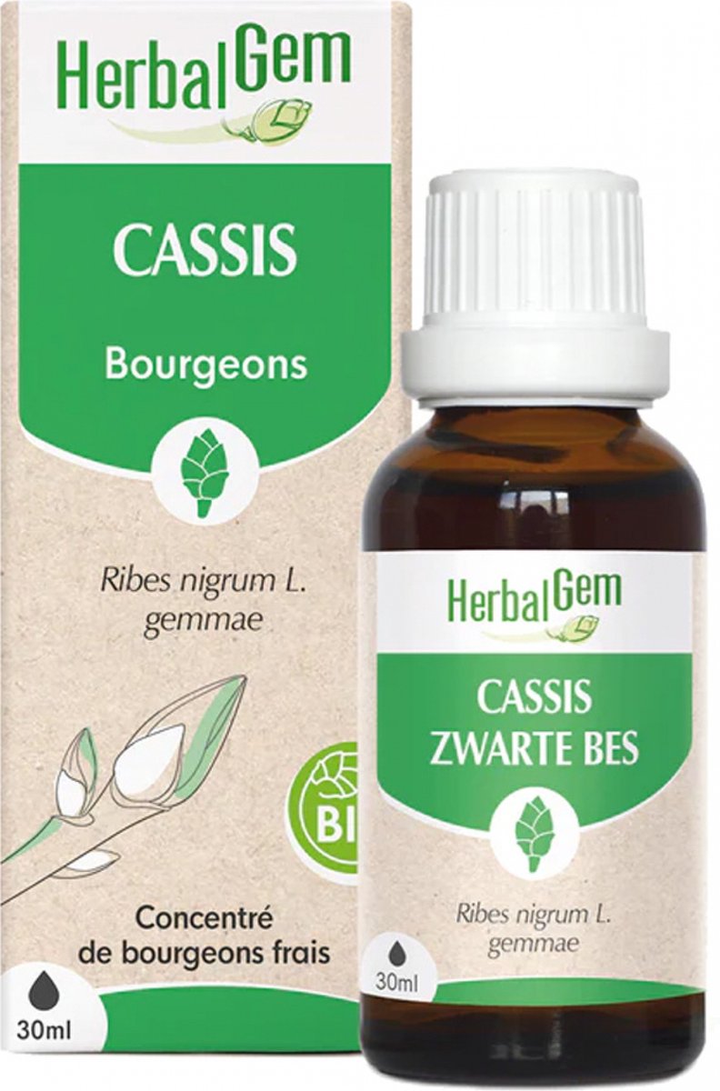 Goedkoopste Herbalgem Zwarte Bes Bio 30ml