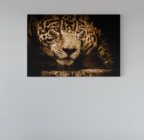Canvas Schilderij Dieren - Luipaard - Foto Op Canvas - 90x60x2 cm