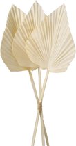 Parlane - Feuille de palmier artificielle - 58 cm - lot de 3