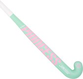 Princess Woodcore Hout Junior - Hockeysticks - Green/Pink
