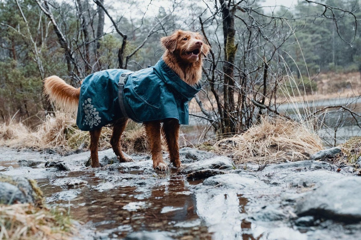 Hurtta Honden Regenjas - Monsoon Coat - Bilberry Blauw - 40cm | bol.com