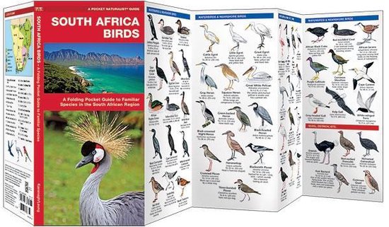 Vouwgids 'South Africa Birds' met illustraties van vogels, inclusief een Crowned Crane op de voorkant en kustlandschap.