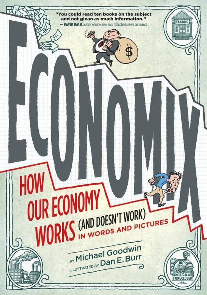 economix by michael goodwin