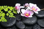 Afbeelding op acrylglas - Zen stenen met orchidee, inspiratie