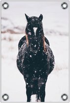 Tuinposter – Paard in de Sneeuw– 60x90cm Foto op Tuinposter (wanddecoratie voor buiten en binnen)