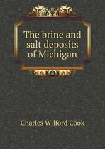 The brine and salt deposits of Michigan