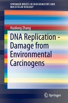 DNA Replication Damage from Environmental Carcinogens