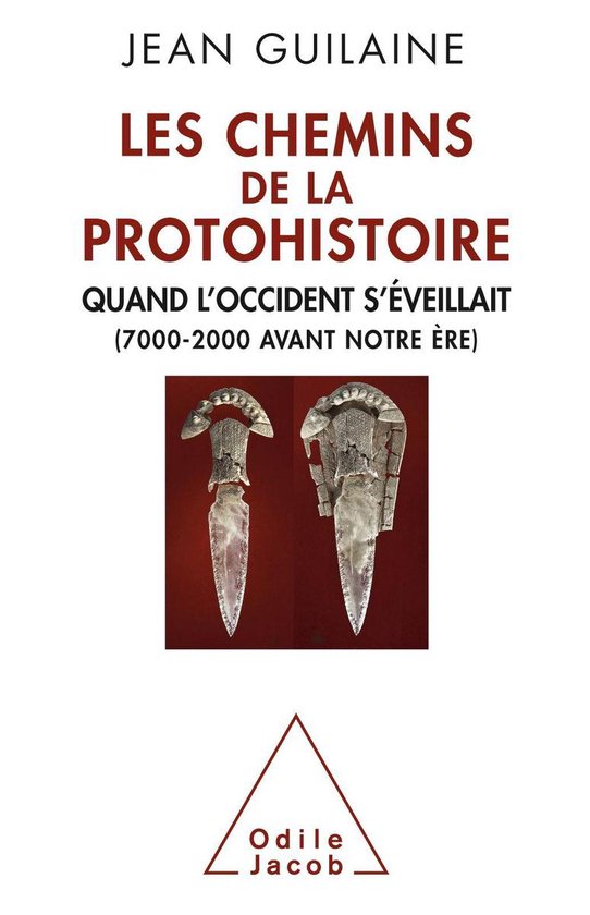 Les Chemins de la Protohistoire - cover
