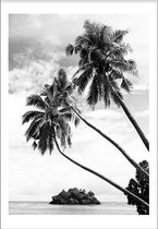 Palmtrees (50x70cm) - Wallified - Tekst - Zwart Wit - Poster - Wall-Art - Woondecoratie - Kunst - Posters