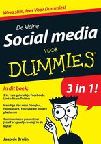 Voor Dummies - De kleine social media voor Dummies