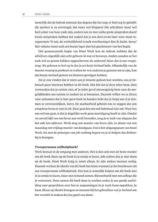 Pagina 18 van het boek 'Mooi Werk' met tekst over werk, job crafting en zelfhulp.