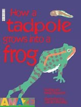 How This Tadpole Grows into This Frog