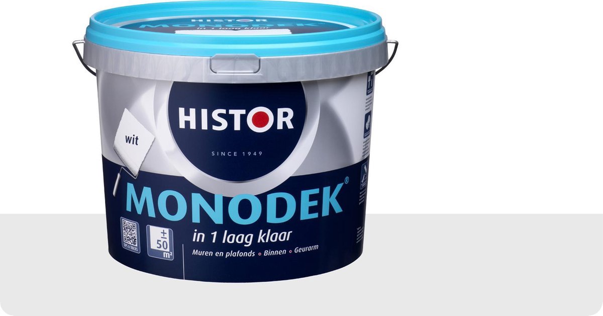 Inschrijven Persoon belast met sportgame prieel Histor Monodek Muurverf - 5 liter - Wit | bol.com