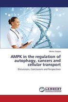 Ampk in the Regulation of Autophagy, Cancers and Cellular Transport
