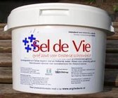 Sel de Vie Scrubzout Eucalyptus 12,5kg